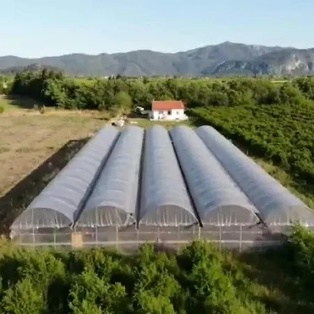 Pitaya House - Dalyan Muğla