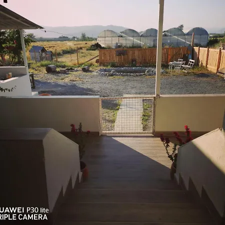 Pitaya House - Dalyan * Muğla