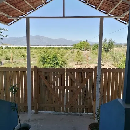 Vilă Pitaya House - Dalyan Muğla